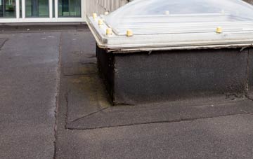 disadvantages of Little Hautbois flat roofs