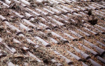 Little Hautbois roof cleaning companies